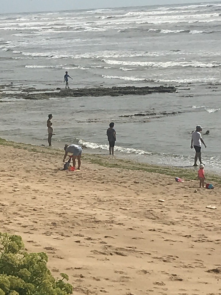 Img 0075